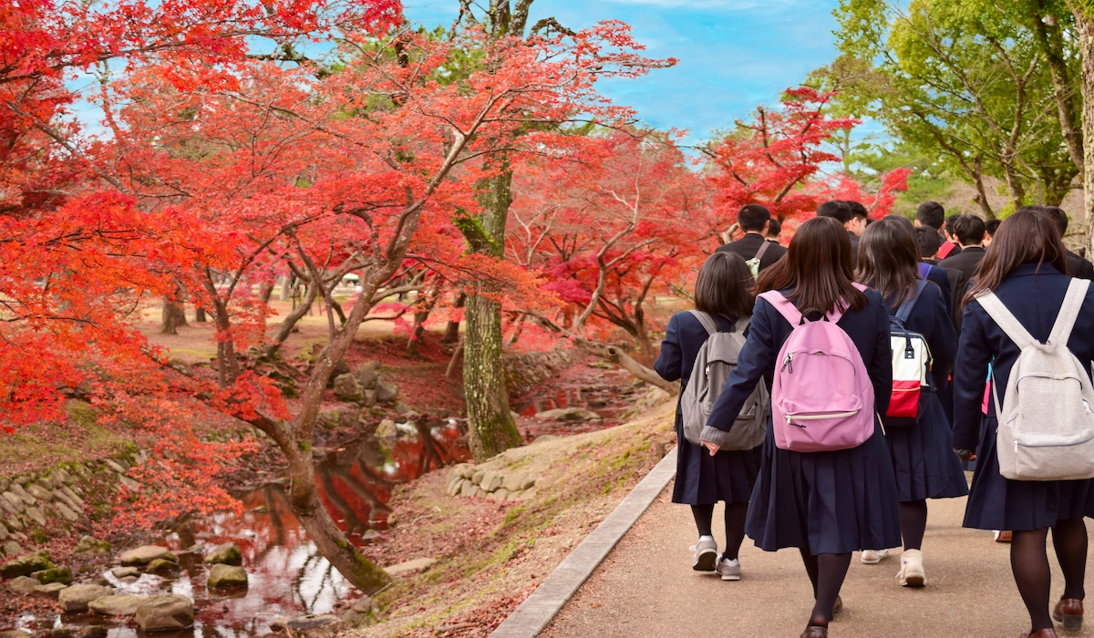 不登校中に修学旅行に参加するために必要な準備は？